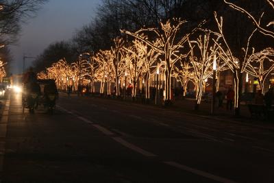 bilder-kamera-30112008-106