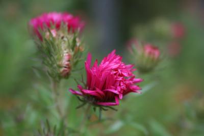 bilder-kamera-komplett-867