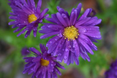 bilder-kamera-komplett-868