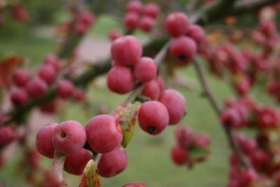 bilder-kamera-komplett-871