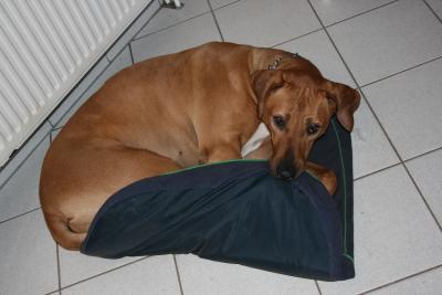 bilder-kamera-nach-weihnachten-117