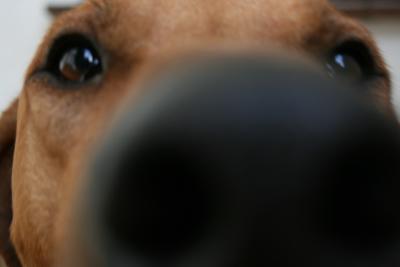 bilder-kamera-nach-weihnachten-195