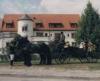 FrieseG