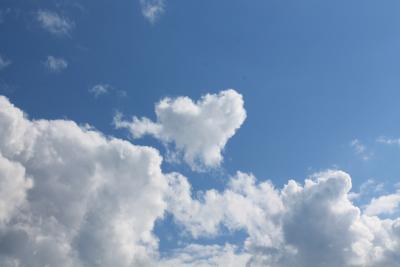 CanonBilder-591
