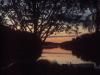 have-a-nice-evening-you-all
