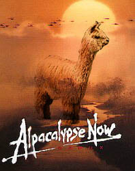 alpacalypse