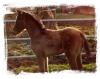 dsc02162-3-