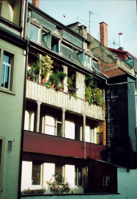 Grünes Freiburg - ab dem 2. OG. Hausfassade in der Freiburger "Insel"
