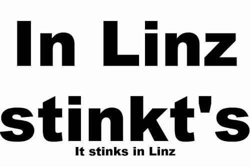 In-Linz-stinkt-s-stinkt-es-It-stinks-in-Linz-sued-chemiepark-Linz-schlechte-Luft-Abgase-gesundheitsgefaerdende-Gifte-Umweltzerstoerung-Borealis-BIS-Chemserv-DSM-Nufarm-Nycomed-Linz-Strom-GmbH