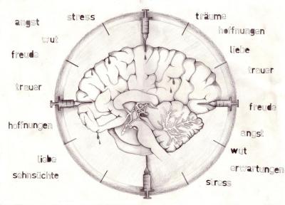 biologisches-uhrwerk