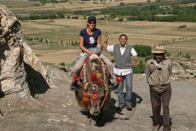 Yak Yak