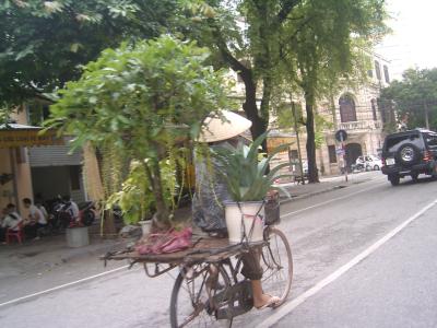 hanoi-II