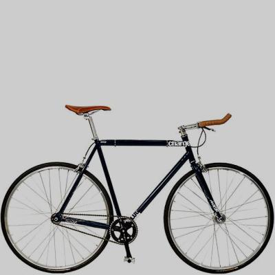 fixie09