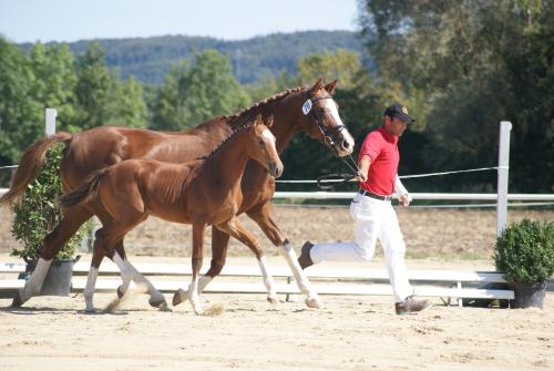 Lady-Ciacomo-R-1108-2