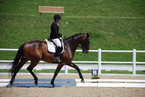 Romina-R-1206-14-Tullnerbach
