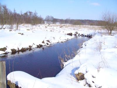 P1000231