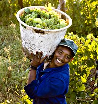 transfair-produzenten_projektfairhillssuedafrika_200