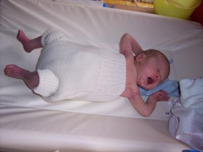 windelhose-obelix