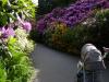 Die Insel war mit wunderschönen Blumen bepflanzt.