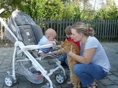 Unser großer Kater-Fan