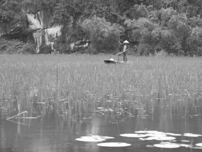 rice-field-worker-Tam-Coc