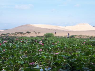 white-sandduenes