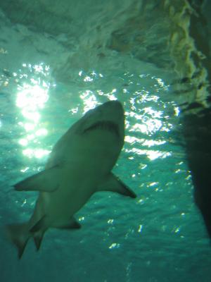 Bild-023
