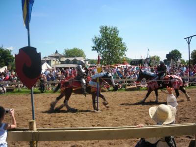 Bild-181