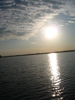 Picture-050