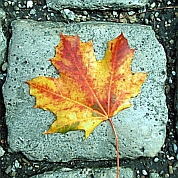 Herbst