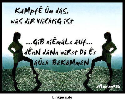 501linkpics-de-05871