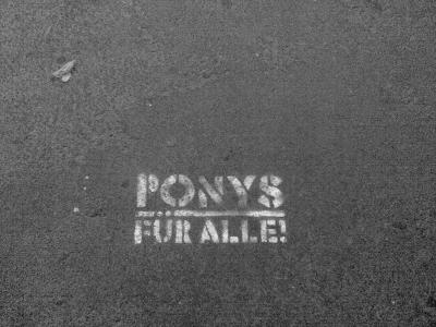 pony1