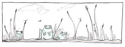 Frog-Ox-Bild-4-Small-