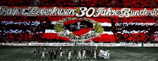 bayer-0011