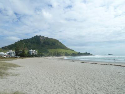 2011_29