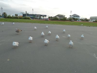 2011_991