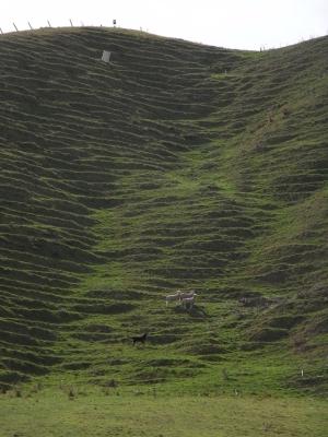 Bild2_3
