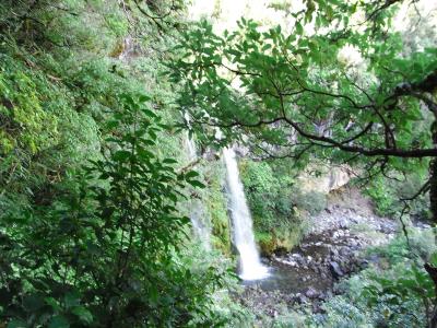 Dawson-Falls