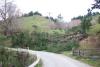 Farm11