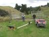 Farm1