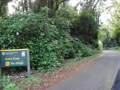 Kiwi-Zone