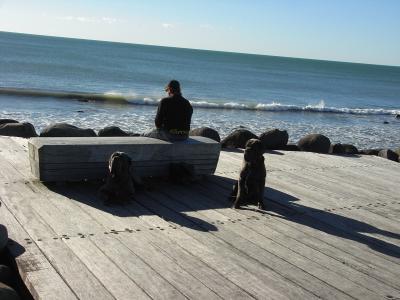 New-Plymouth1