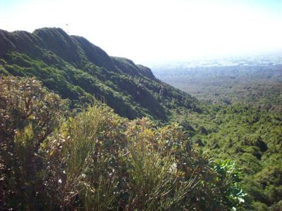 WalkTa8