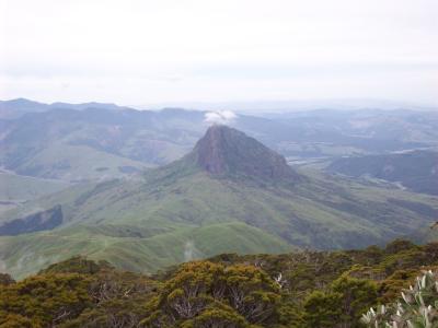 gisborne2