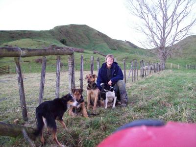 hunde1