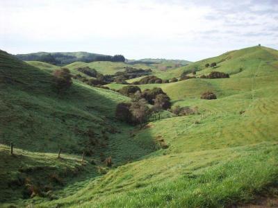 matanui-005