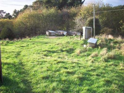 matanui-11-5-11-030