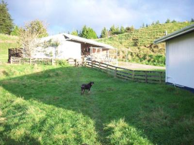 matanui-11-5-11-032
