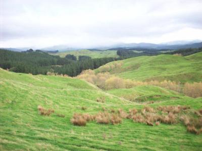 matanui-11-5-11-035