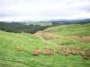 matanui-11-5-11-035